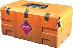 Оформление кейса CS2 Fever Case
